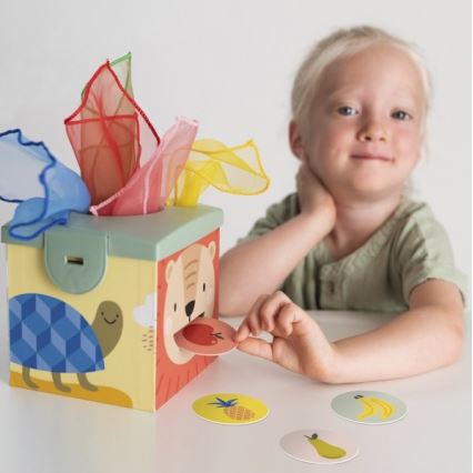 Taf Toys - Tegeluskarp MAGIC BOX