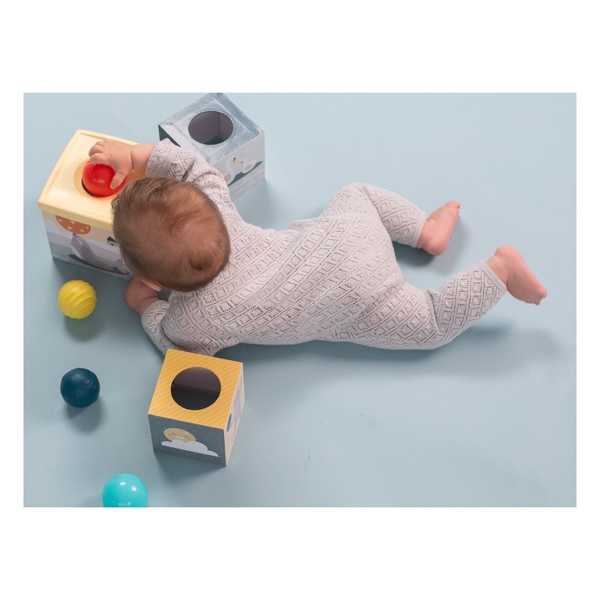 Taf Toys - Tegelusmänguasjade komplekt Põhjapoolus