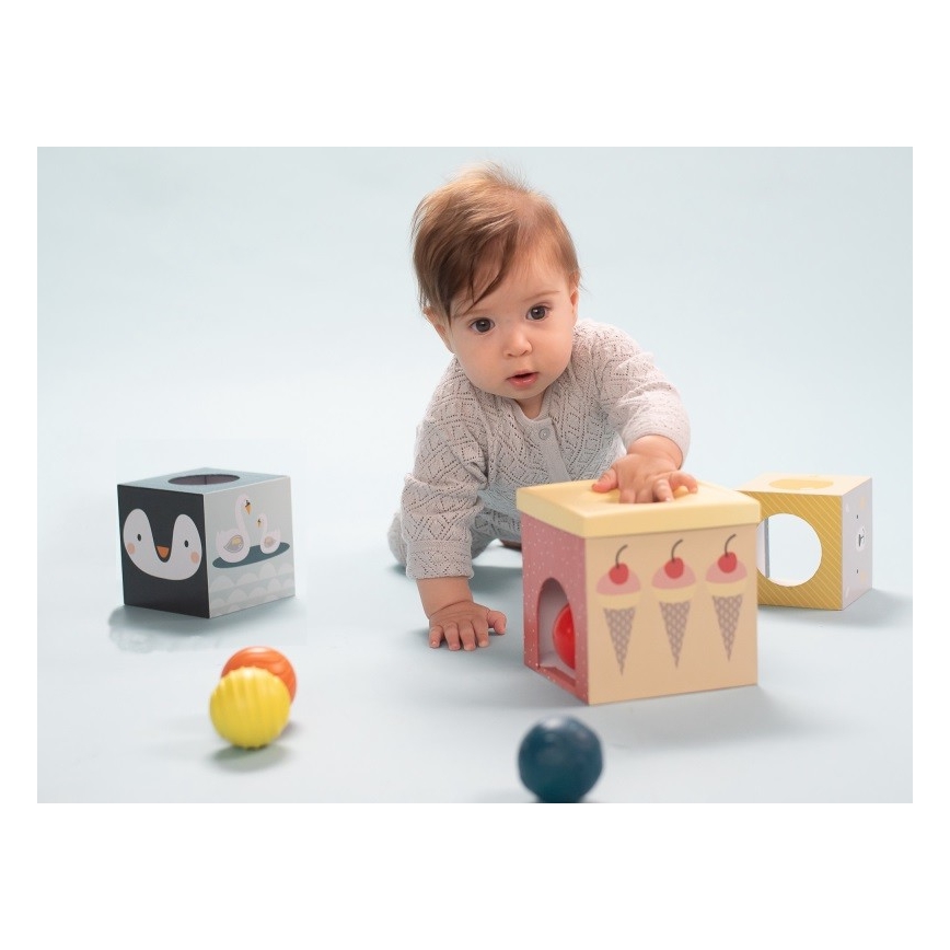 Taf Toys - Tegelusmänguasjade komplekt Põhjapoolus