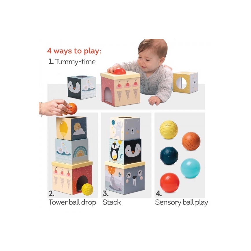 Taf Toys - Tegelusmänguasjade komplekt Põhjapoolus
