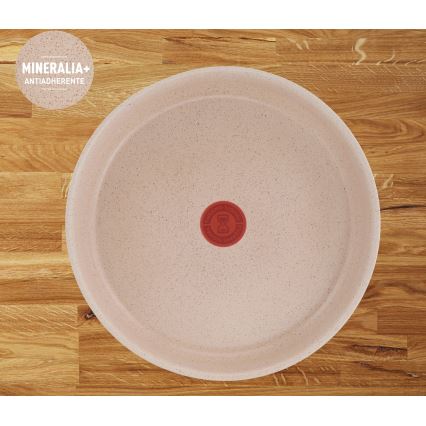 Tefal - 3-osaline pannikomplekt INGENIO DELIGHT