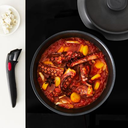 Tefal - 6-osaline kööginõude komplekt INGENIO INSPIRATION