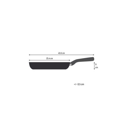 Tefal - EXTREME 24 cm roostevabast terasest pann