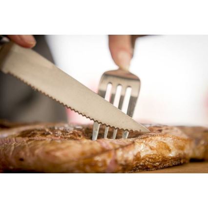 Tefal - 4-osaline roostevabast terasest steakinugade komplekt ICE FORCE 11 cm, läikiv kroom/must