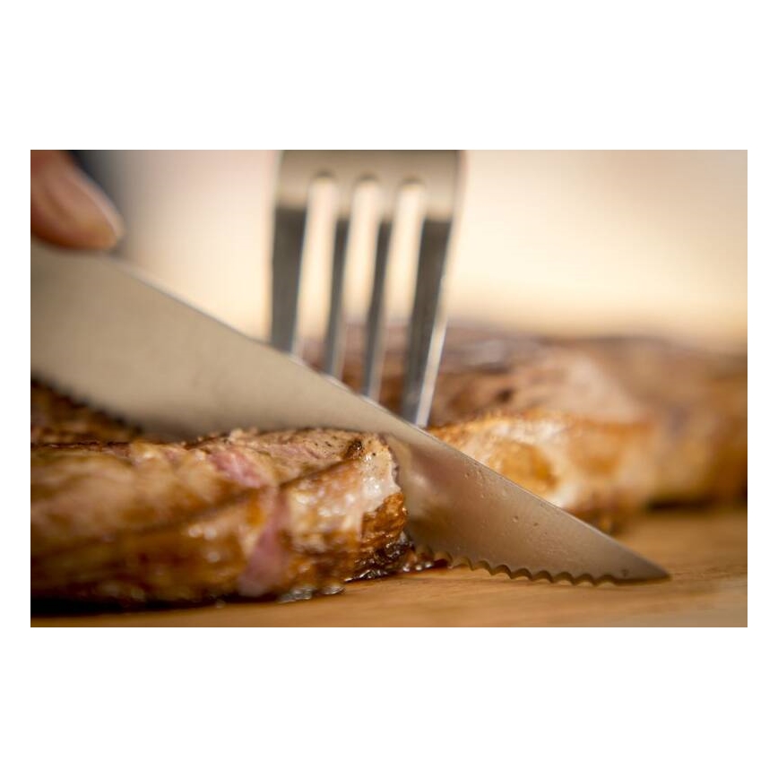 Tefal - 4-osaline roostevabast terasest steakinugade komplekt ICE FORCE 11 cm, läikiv kroom/must