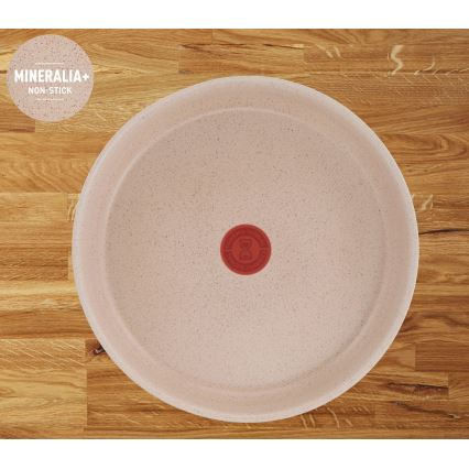 Tefal - INGENIO DELIGHT 17-osaline kööginõude komplekt