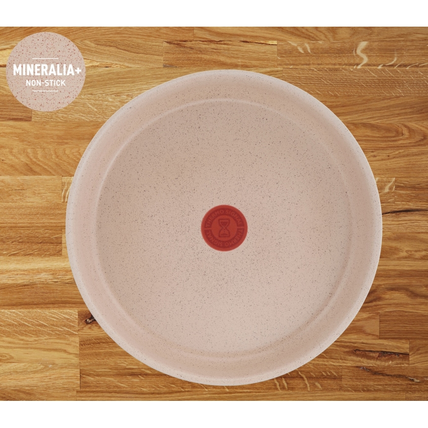 Tefal - INGENIO DELIGHT 17-osaline kööginõude komplekt