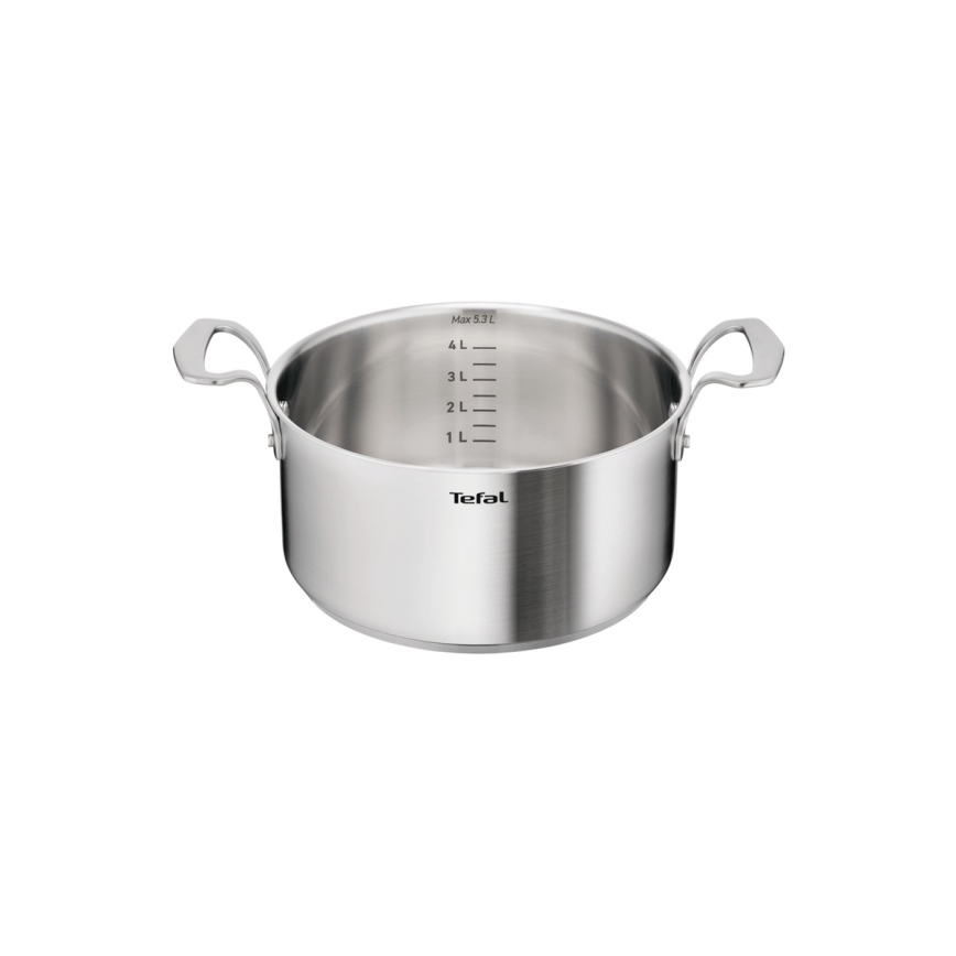 Tefal - Kaasuga pott EXTREME 24 cm