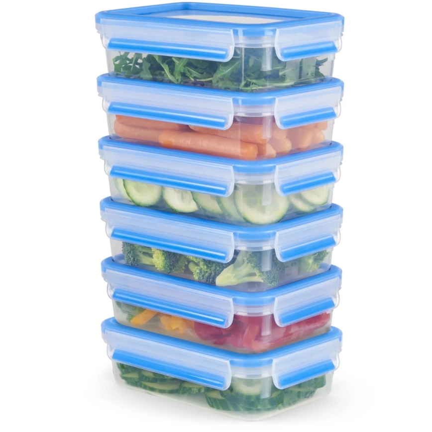 Tefal - KOMPLEKT 6x Toidukarp 0,8 l MASTER SEAL FRESH sinine