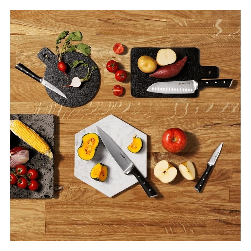 Tefal - Kööginugade komplekt alusega ICE FORCE 6 tk