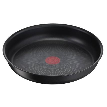 Tefal - Nõudekomplekt 10 tk INGENIO DAILY CHEF