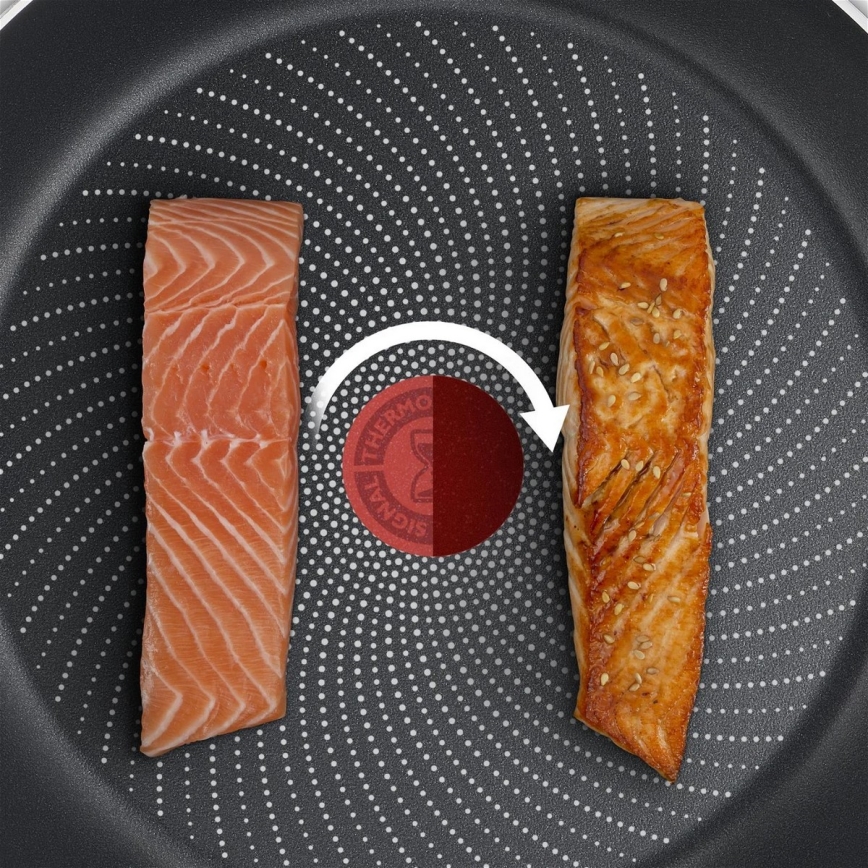 Tefal - Pann DELICIOUS 20 cm