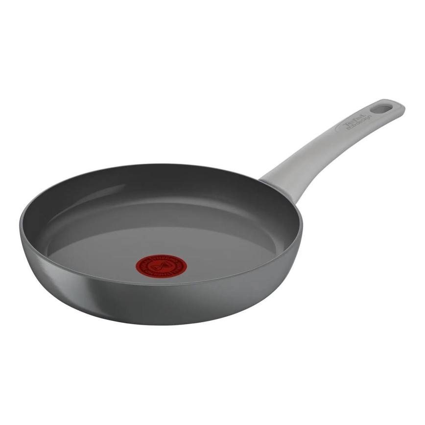 Tefal - Pann RENEW ON 24 cm