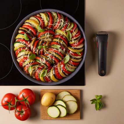 Tefal - Pott INGENIO NATURAL FORCE 20 cm