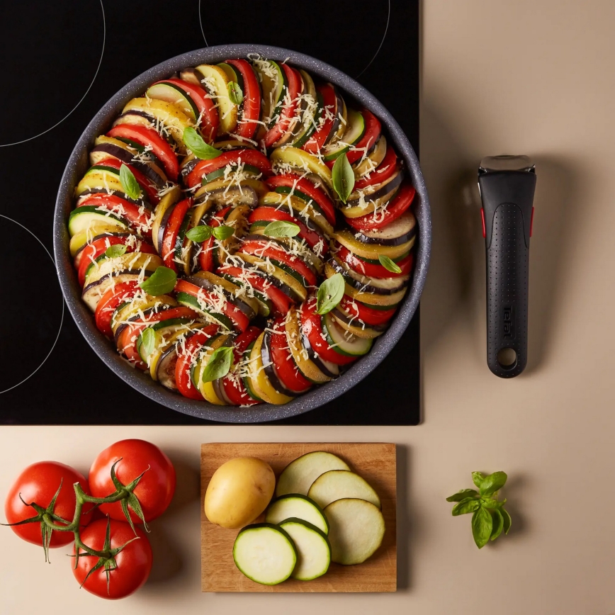 Tefal - Pott INGENIO NATURAL FORCE 20 cm