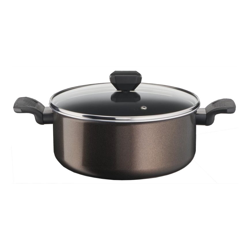 Tefal - Pott kaanega EASY COOK & CLEAN 24 cm