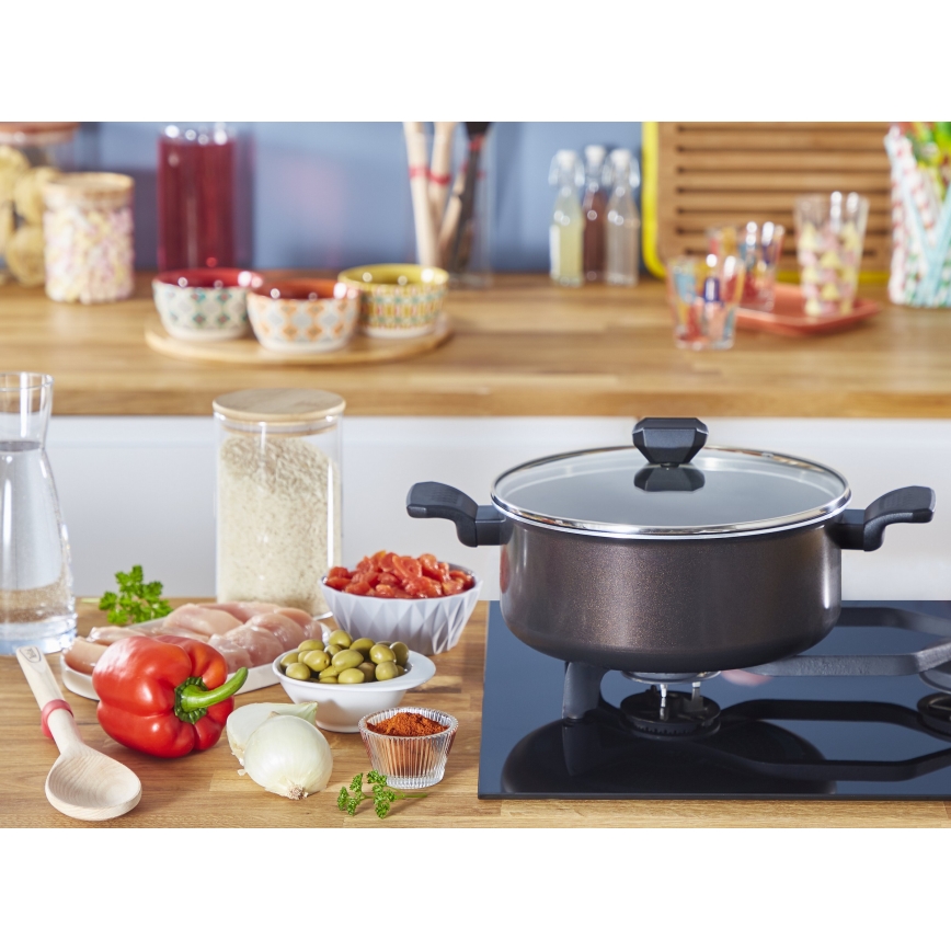 Tefal - Pott kaanega EASY COOK & CLEAN 24 cm