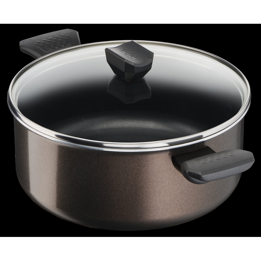 Tefal - Pott kaanega EASY COOK & CLEAN 24 cm