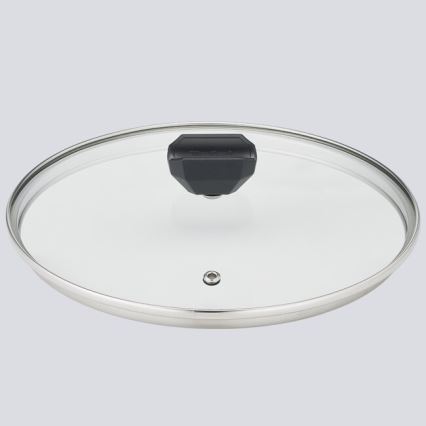 Tefal - Pott kaanega EASY COOK & CLEAN 24 cm