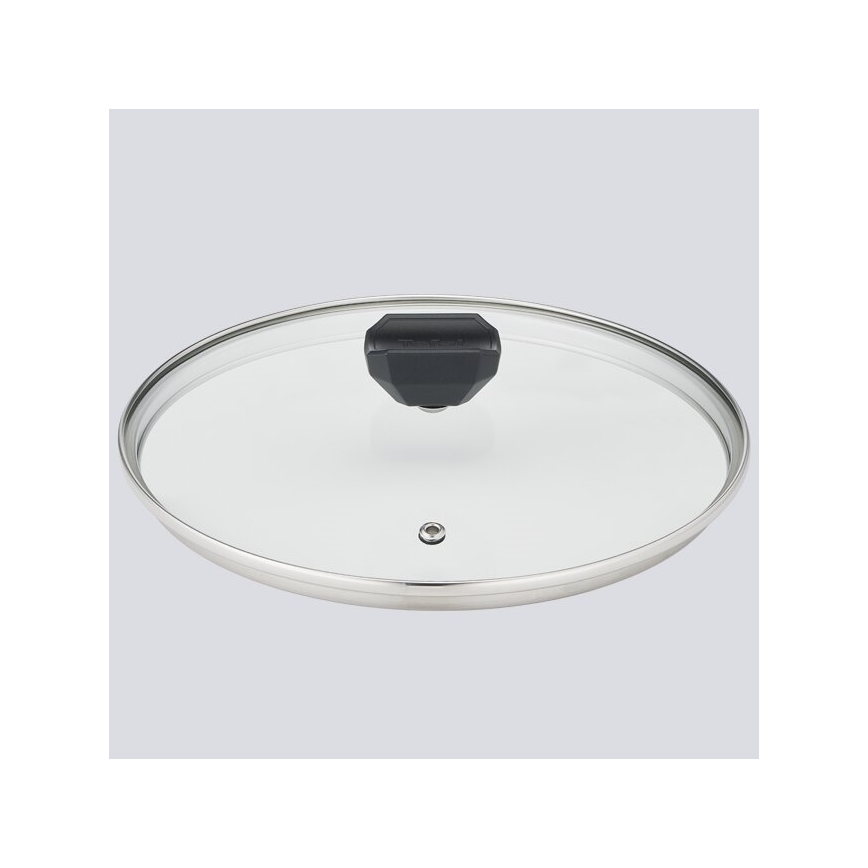 Tefal - Pott kaanega EASY COOK & CLEAN 24 cm