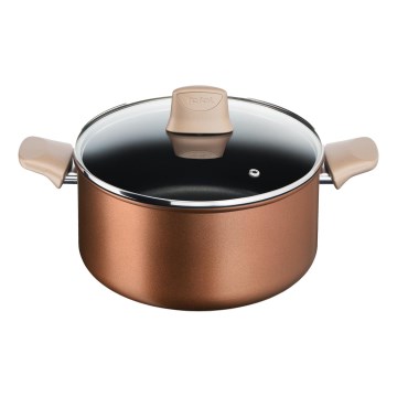Tefal - Pott koos kaanega RESPECT, läbimõõduga 24 cm