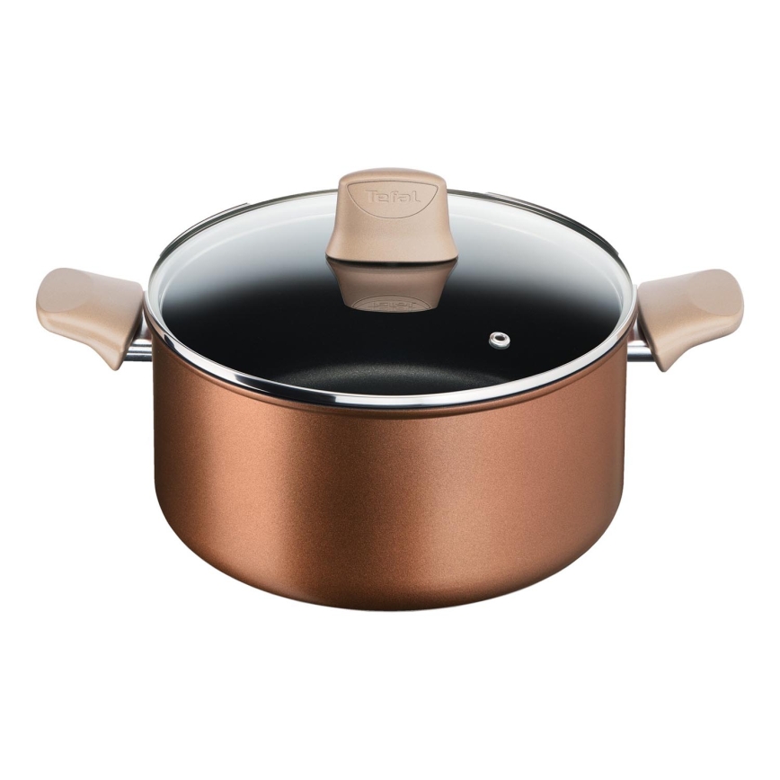 Tefal - Pott koos kaanega RESPECT, läbimõõduga 24 cm