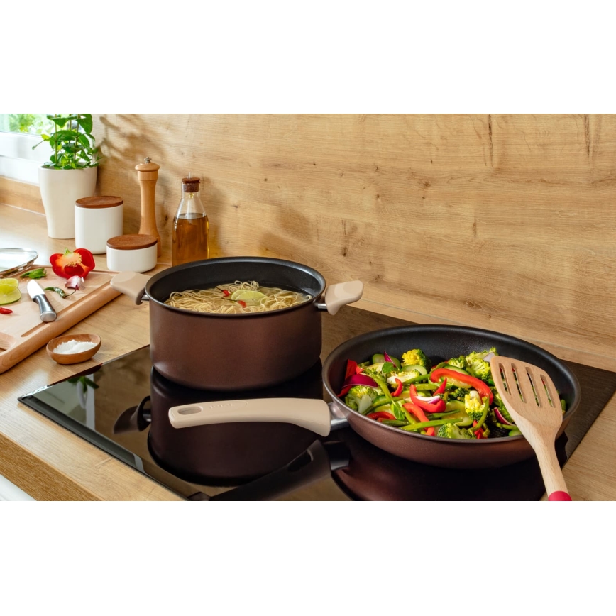 Tefal - Pott koos kaanega RESPECT, läbimõõduga 24 cm