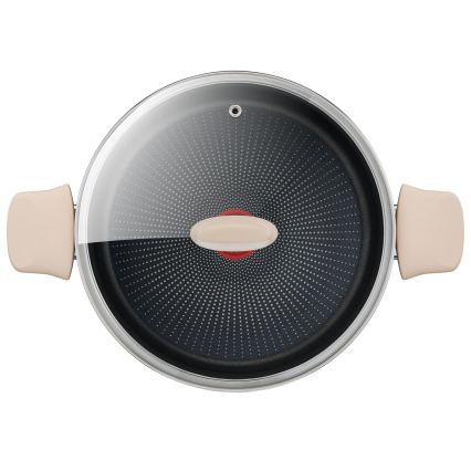 Tefal - Pott koos kaanega RESPECT, läbimõõduga 24 cm