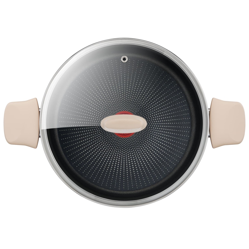 Tefal - Pott koos kaanega RESPECT, läbimõõduga 24 cm