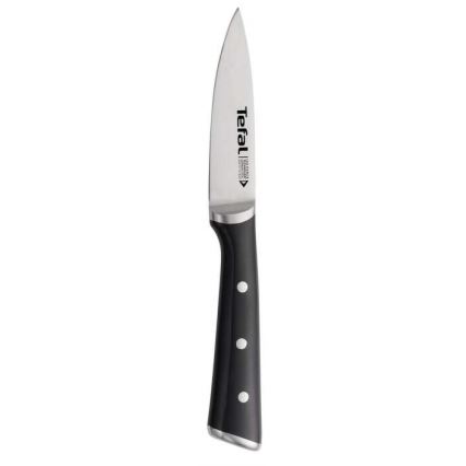 Tefal - Roostevabast terasest lõikenuga ICE FORCE 9 cm läikiv kroom/must