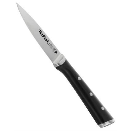 Tefal - Roostevabast terasest lõikenuga ICE FORCE 9 cm läikiv kroom/must