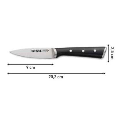 Tefal - Roostevabast terasest lõikenuga ICE FORCE 9 cm läikiv kroom/must