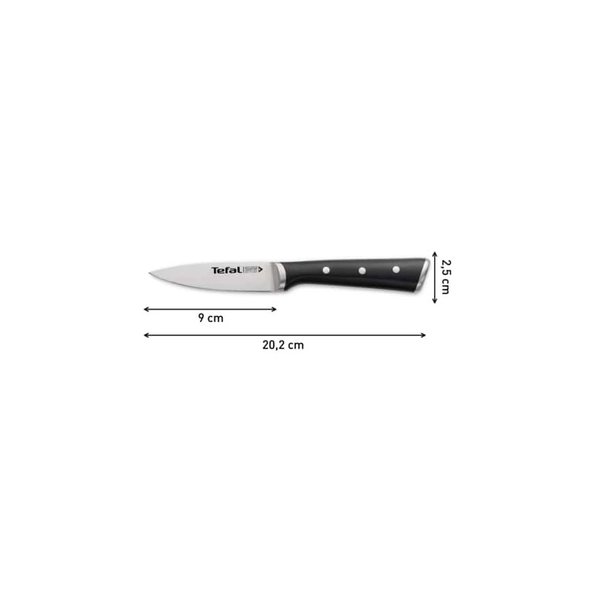 Tefal - Roostevabast terasest lõikenuga ICE FORCE 9 cm läikiv kroom/must