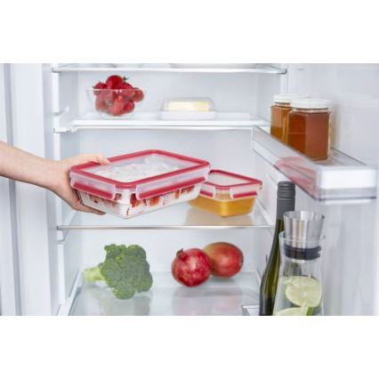 Tefal - Toiduanum 0,85 l MSEAL GLASS punane/klaas