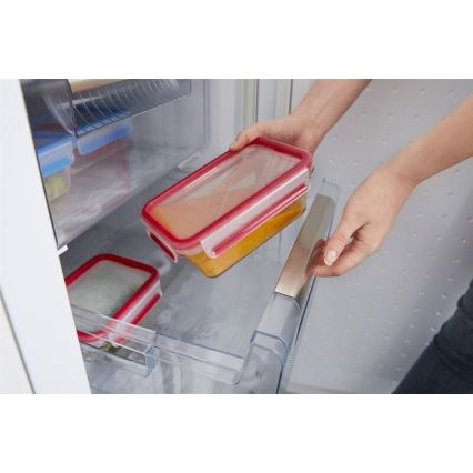 Tefal - Toiduanum 0,85 l MSEAL GLASS punane/klaas