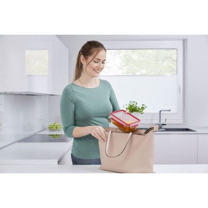 Tefal - Toiduanum 0,85 l MSEAL GLASS punane/klaas