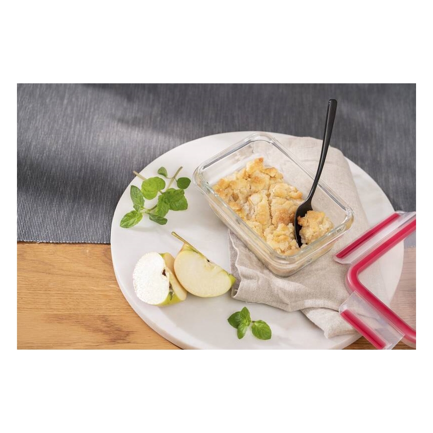 Tefal - Toidukarp 0,45 l MSEAL GLASS punane/klaas