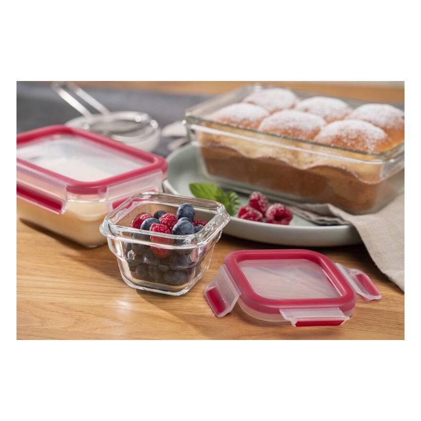 Tefal - Toidukarp 0,45 l MSEAL GLASS punane/klaas