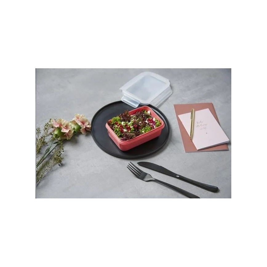 Tefal - Toidukarp 0,55 l MSEAL COLOR roosa