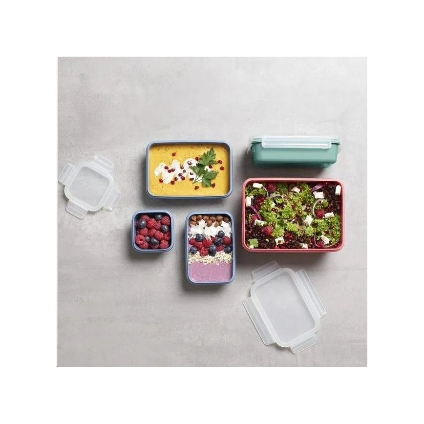 Tefal - Toidukarp 0,55 l MSEAL COLOR roosa