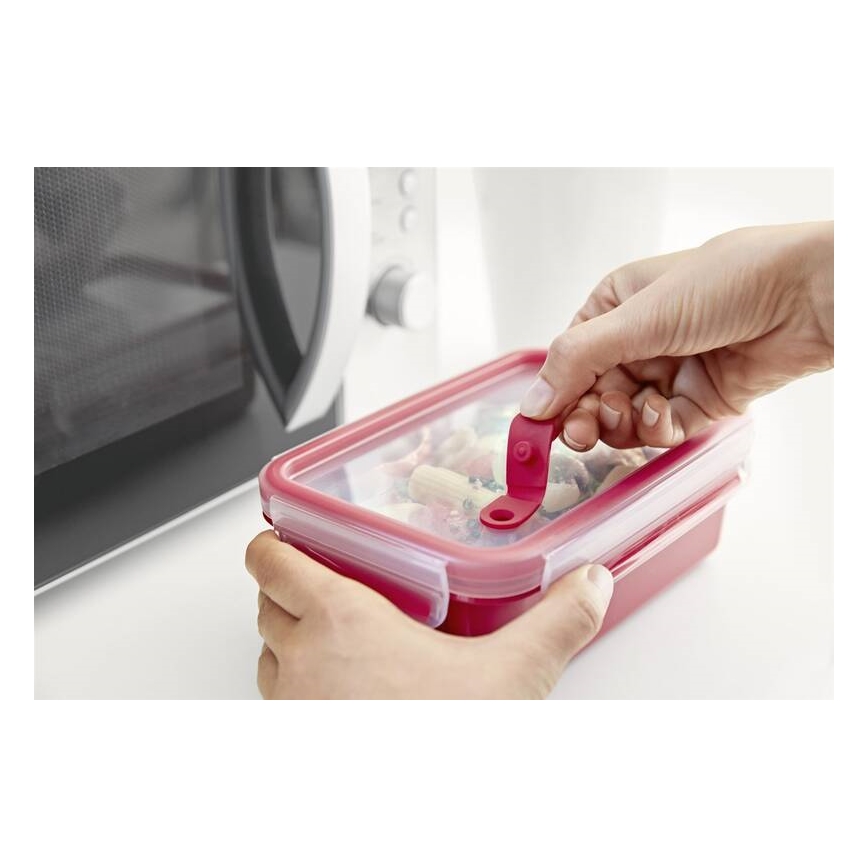 Tefal - Toidukarp 0,8 l MASTER SEAL MICRO punane