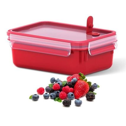 Tefal - Toidukarp 0,8 l MASTER SEAL MICRO punane
