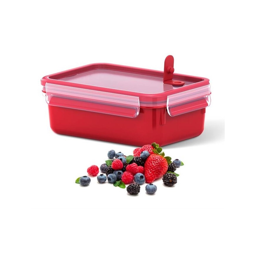 Tefal - Toidukarp 0,8 l MASTER SEAL MICRO punane