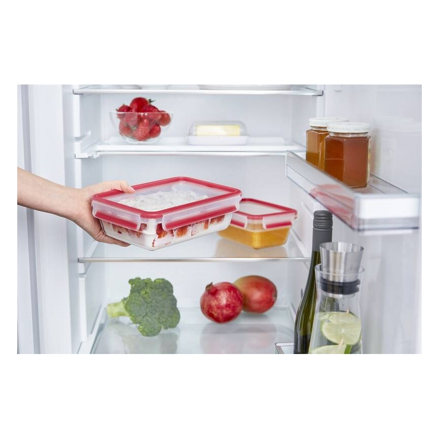 Tefal - Toidukarp 0,85 l MSEAL GLASS punane/klaas