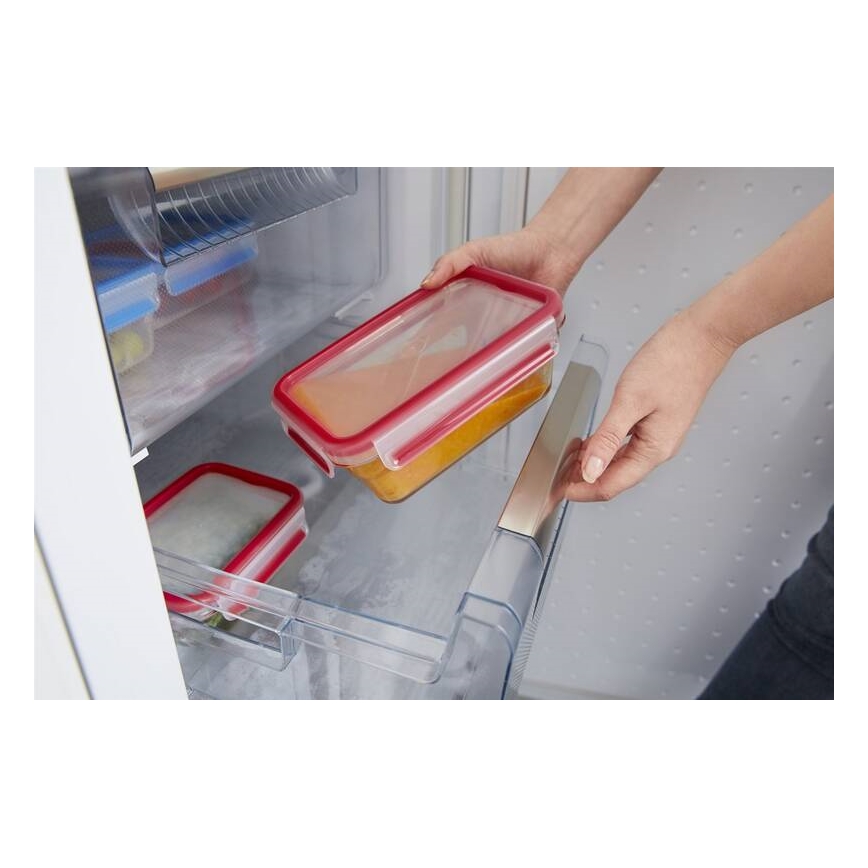 Tefal - Toidukarp 0,85 l MSEAL GLASS punane/klaas