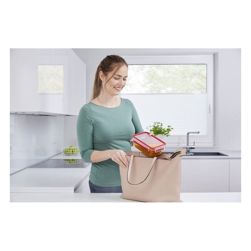 Tefal - Toidukarp 0,85 l MSEAL GLASS punane/klaas
