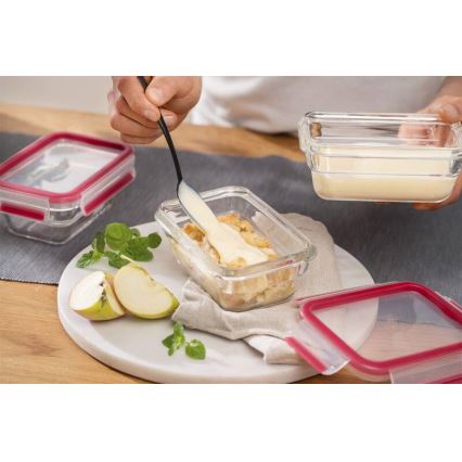 Tefal - Toidukonteiner 0,45 l MSEAL GLASS punane/klaas