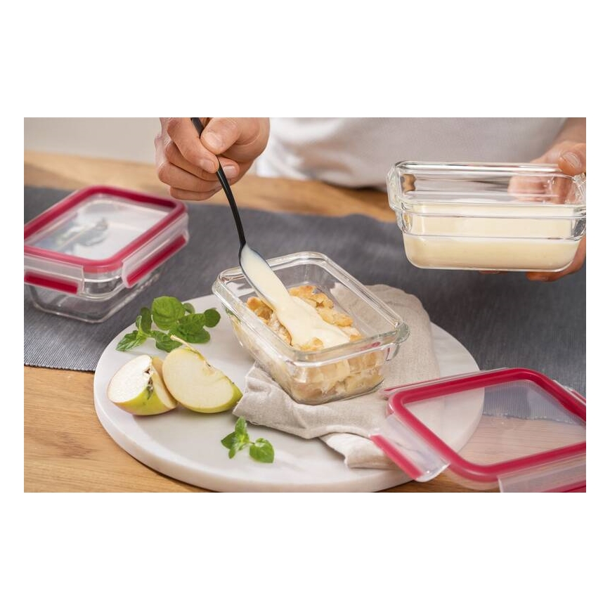 Tefal - Toidukonteiner 0,45 l MSEAL GLASS punane/klaas