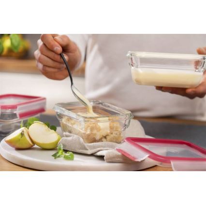 Tefal - Toidukonteiner 0,45 l MSEAL GLASS punane/klaas