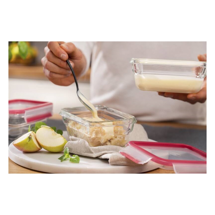 Tefal - Toidukonteiner 0,45 l MSEAL GLASS punane/klaas